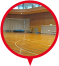 Recreational Gym image