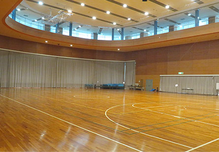 Recreational Gym